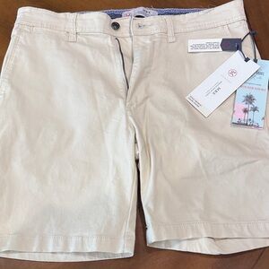 Men's Relaxed Fit Beige Shorts